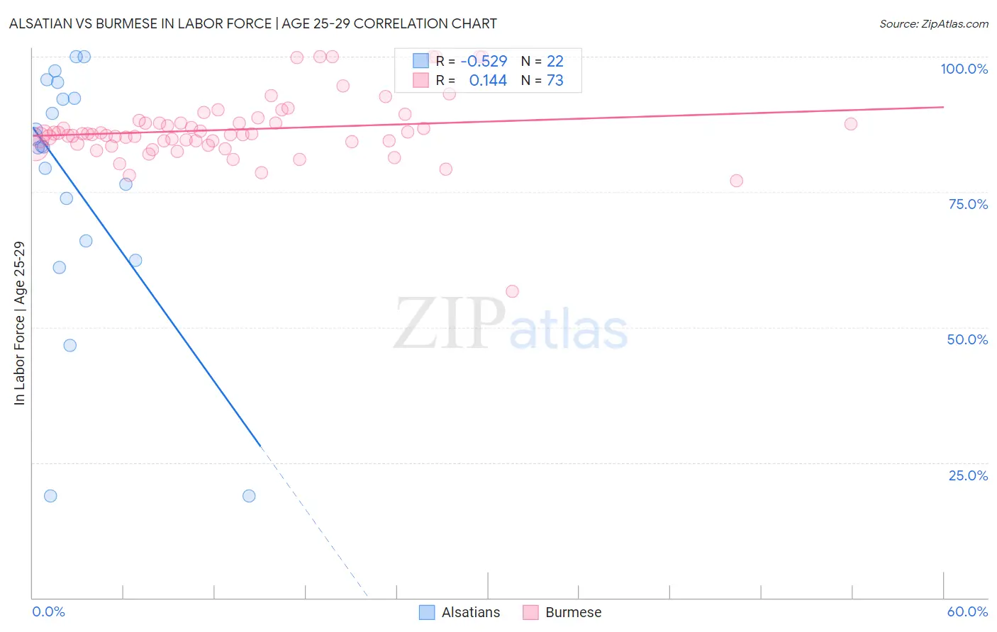 Alsatian vs Burmese In Labor Force | Age 25-29