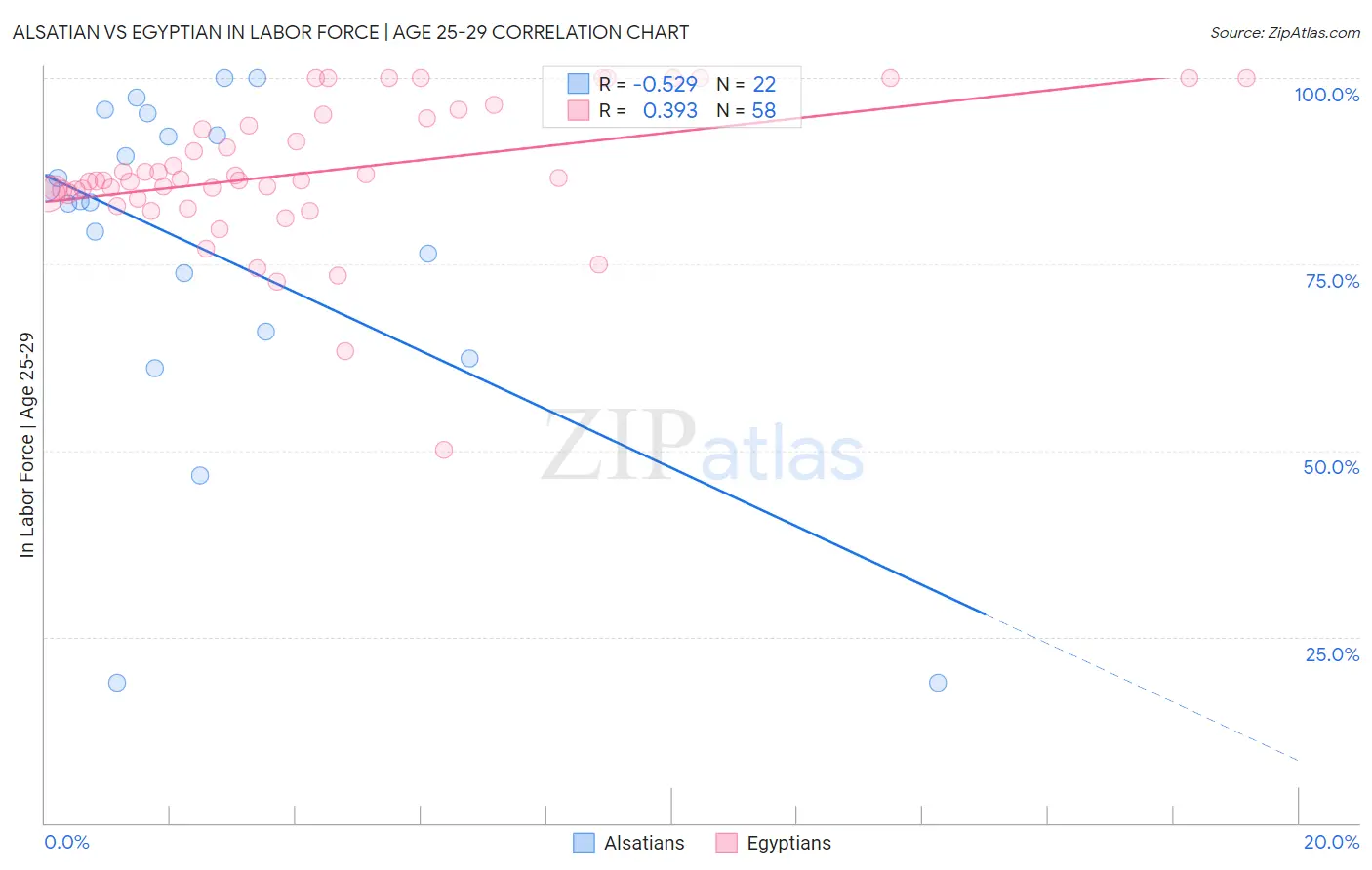 Alsatian vs Egyptian In Labor Force | Age 25-29
