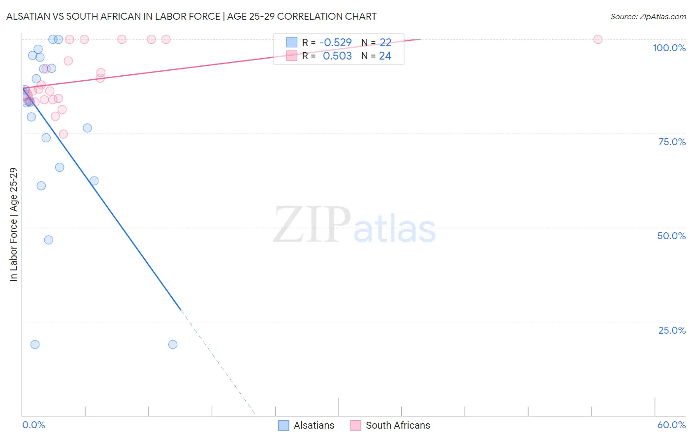 Alsatian vs South African In Labor Force | Age 25-29