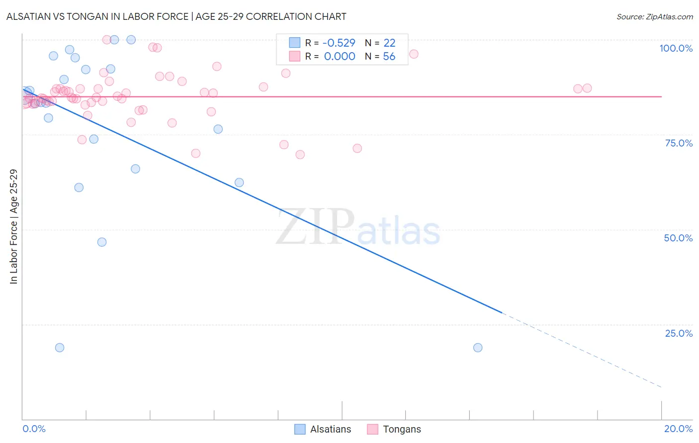 Alsatian vs Tongan In Labor Force | Age 25-29