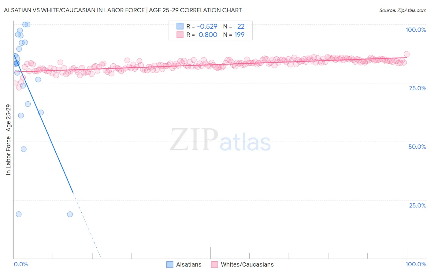 Alsatian vs White/Caucasian In Labor Force | Age 25-29