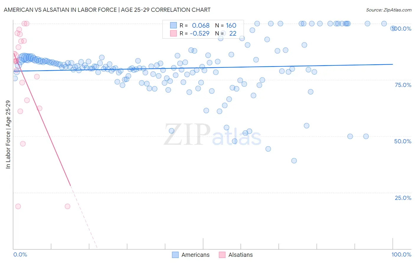 American vs Alsatian In Labor Force | Age 25-29