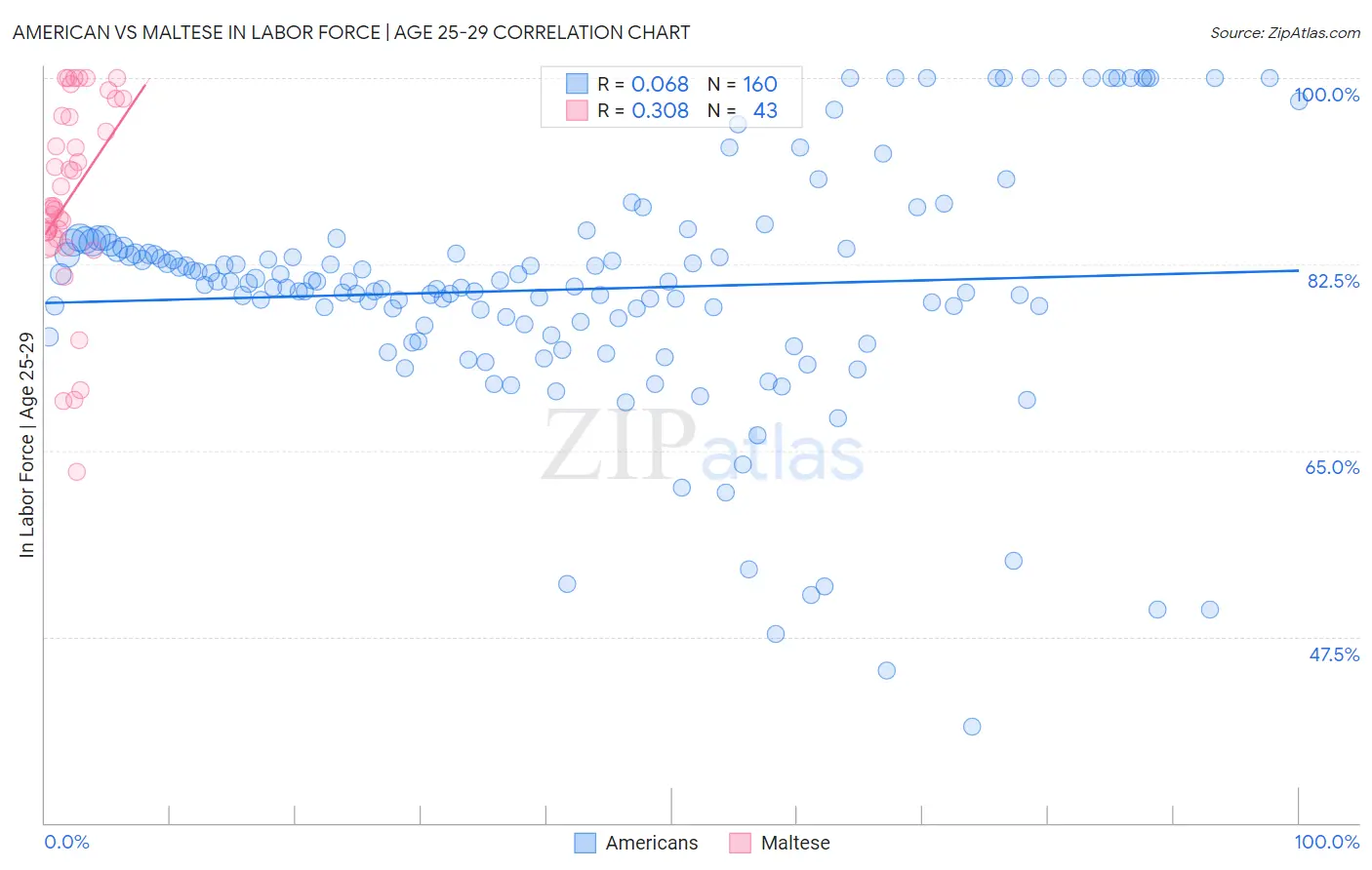 American vs Maltese In Labor Force | Age 25-29