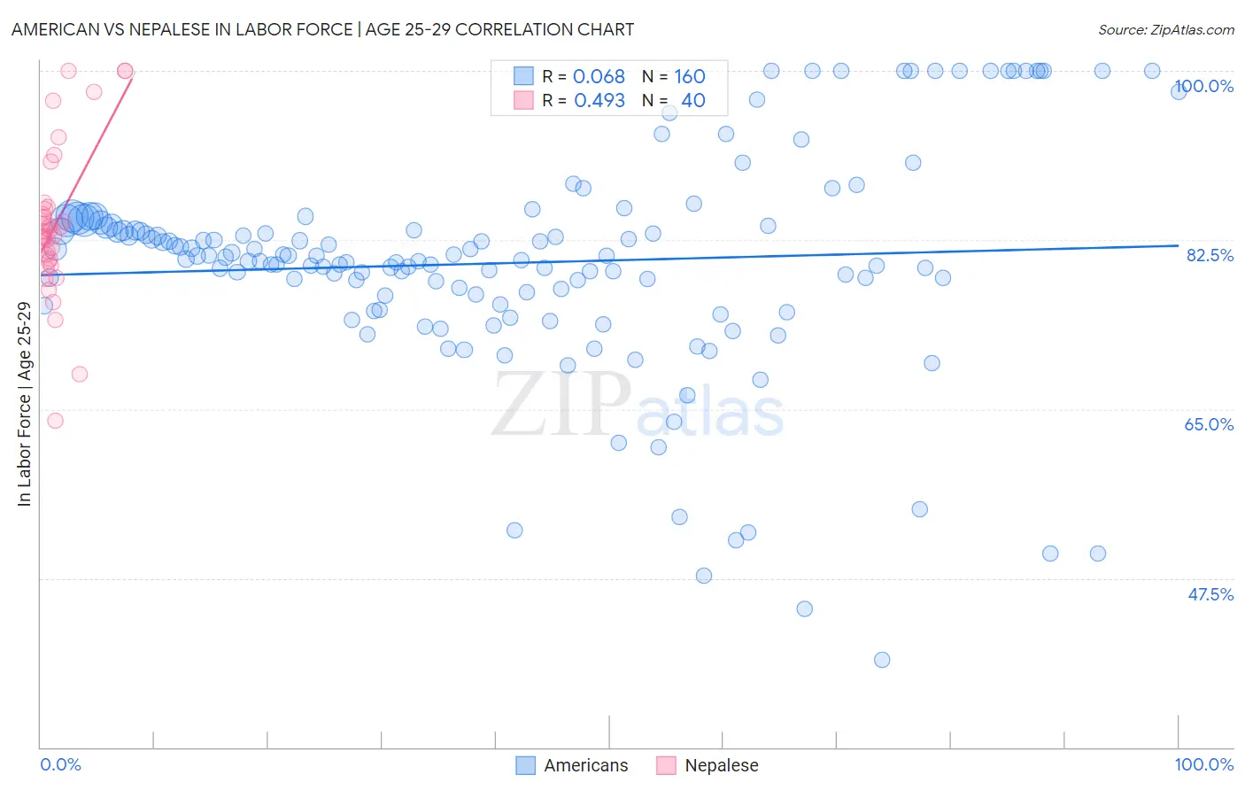 American vs Nepalese In Labor Force | Age 25-29
