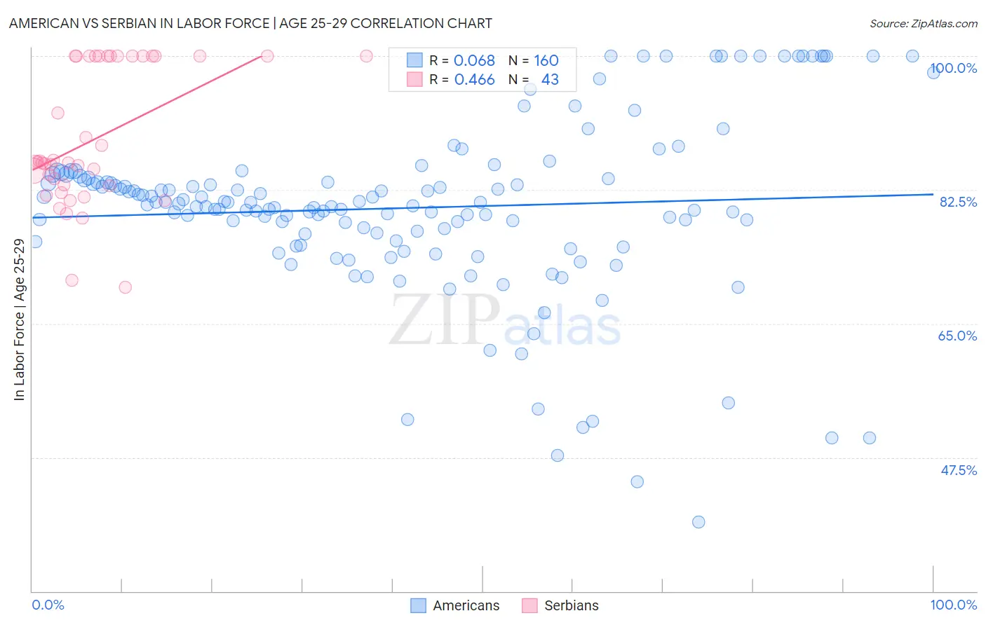 American vs Serbian In Labor Force | Age 25-29