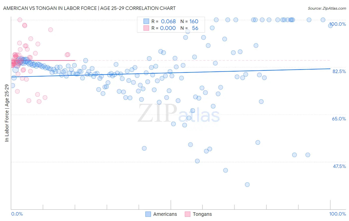 American vs Tongan In Labor Force | Age 25-29