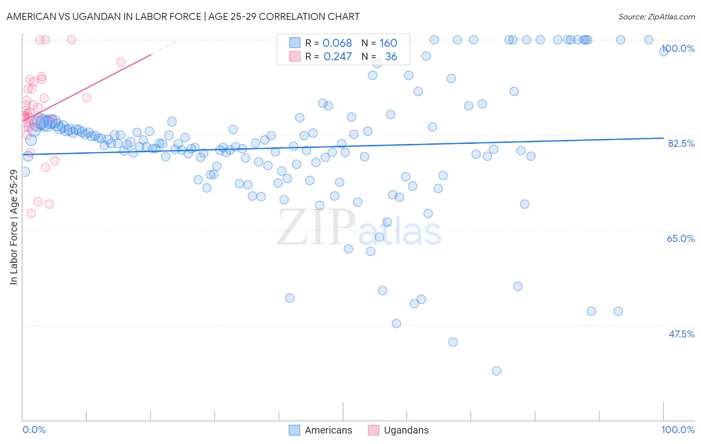 American vs Ugandan In Labor Force | Age 25-29