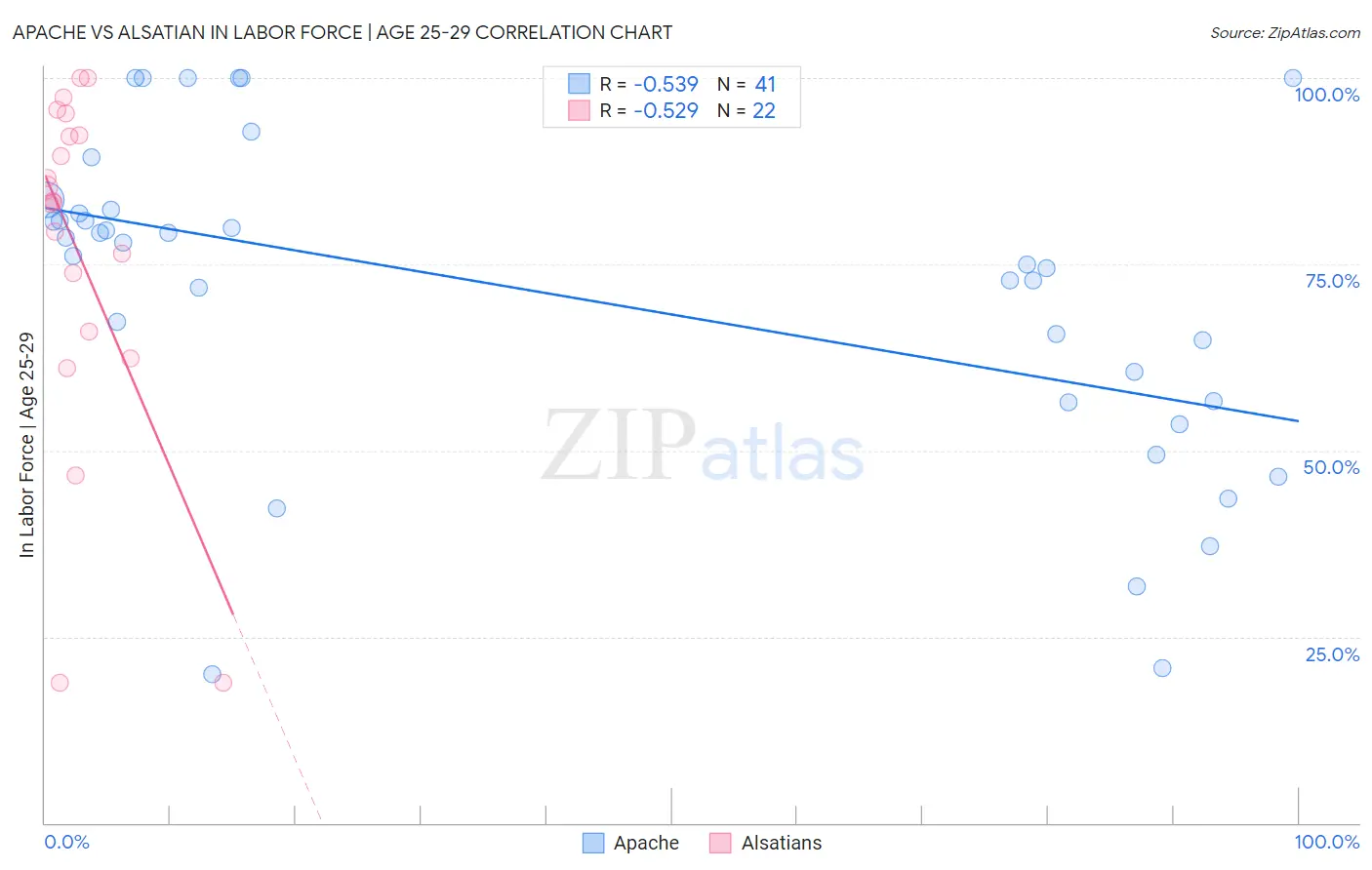 Apache vs Alsatian In Labor Force | Age 25-29