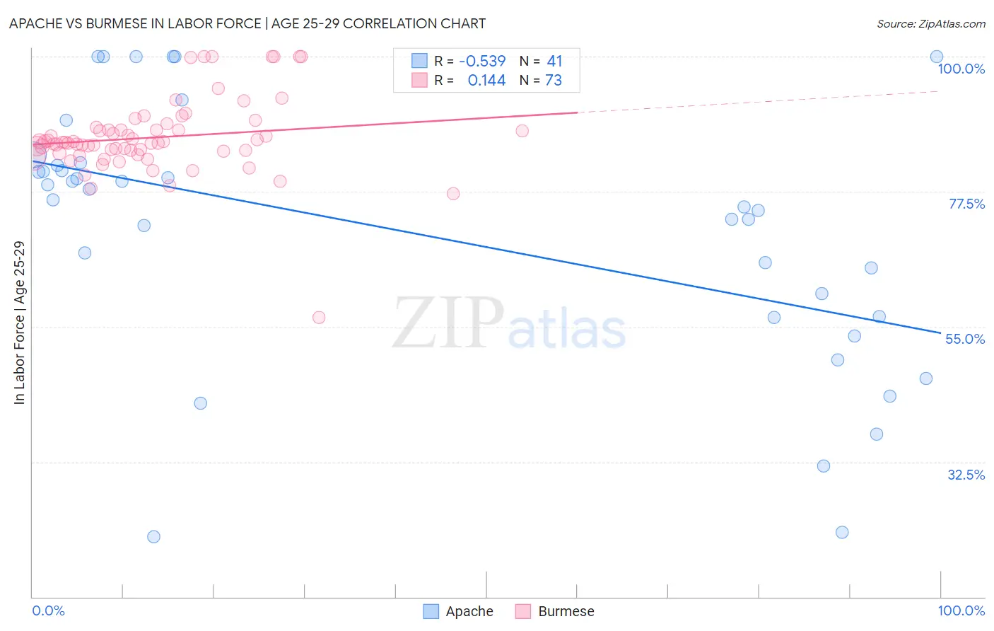Apache vs Burmese In Labor Force | Age 25-29