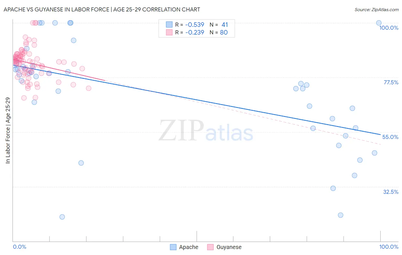 Apache vs Guyanese In Labor Force | Age 25-29
