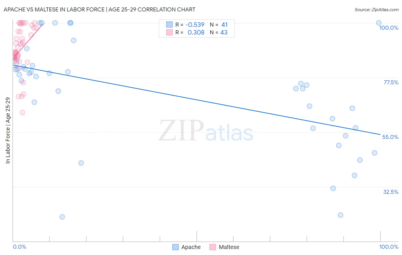 Apache vs Maltese In Labor Force | Age 25-29