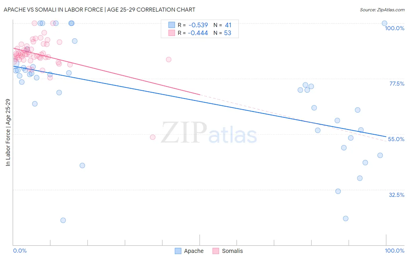 Apache vs Somali In Labor Force | Age 25-29