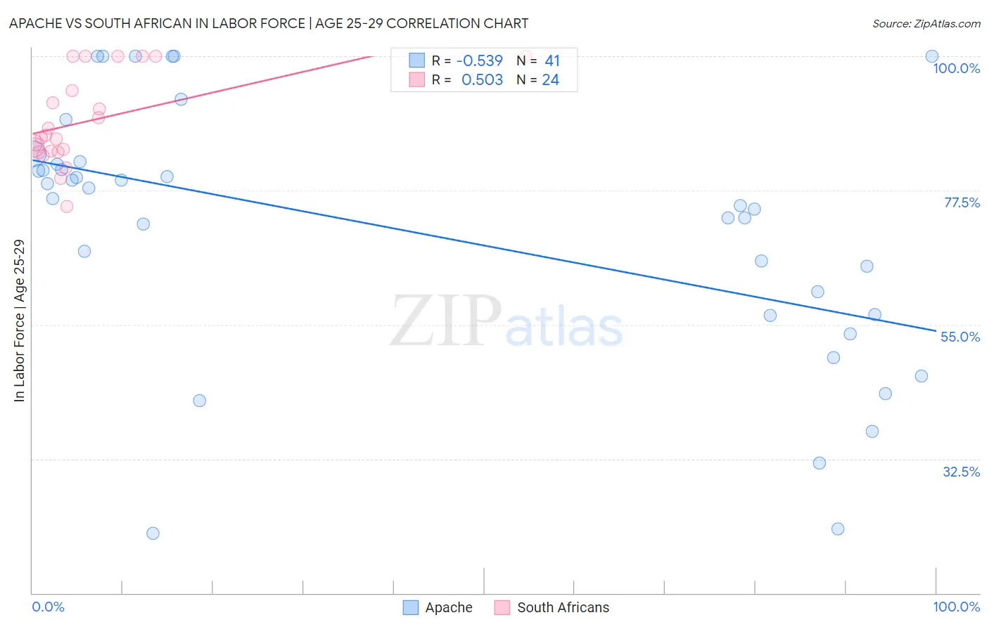 Apache vs South African In Labor Force | Age 25-29