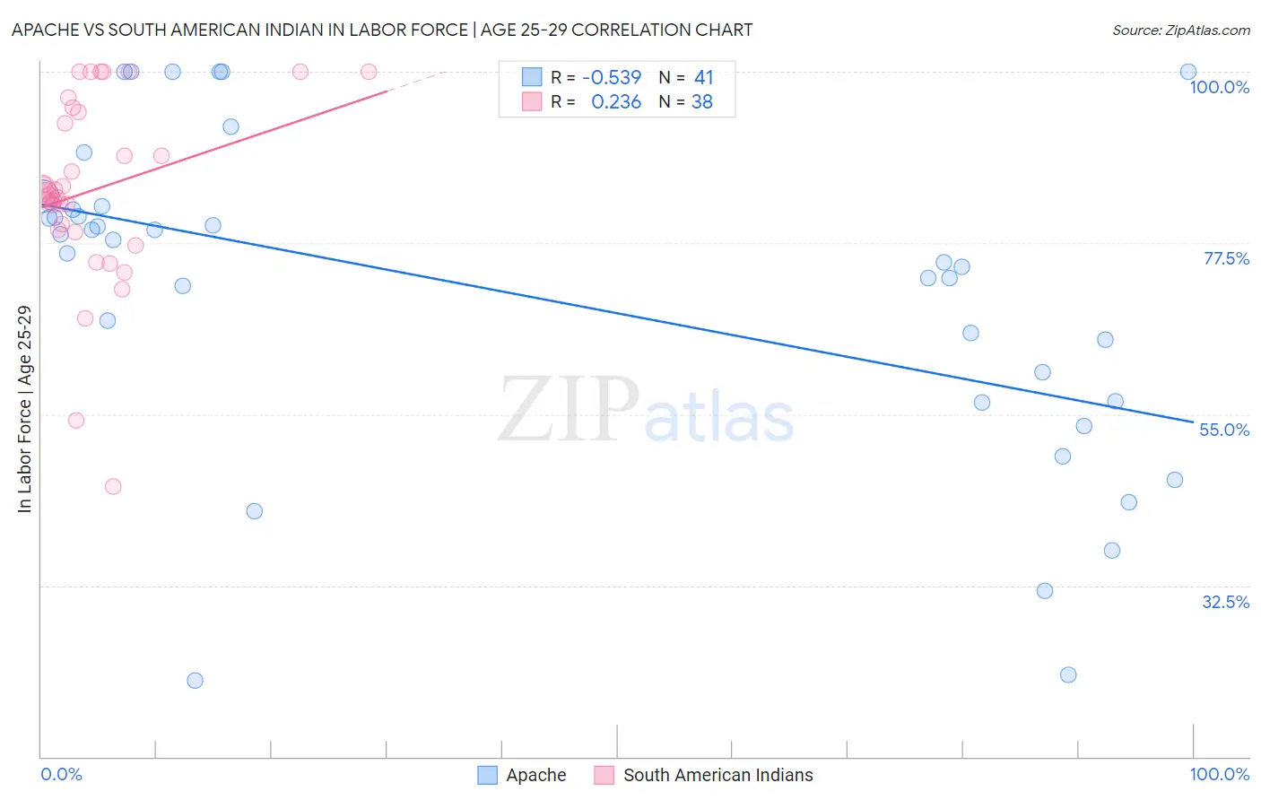 Apache vs South American Indian In Labor Force | Age 25-29
