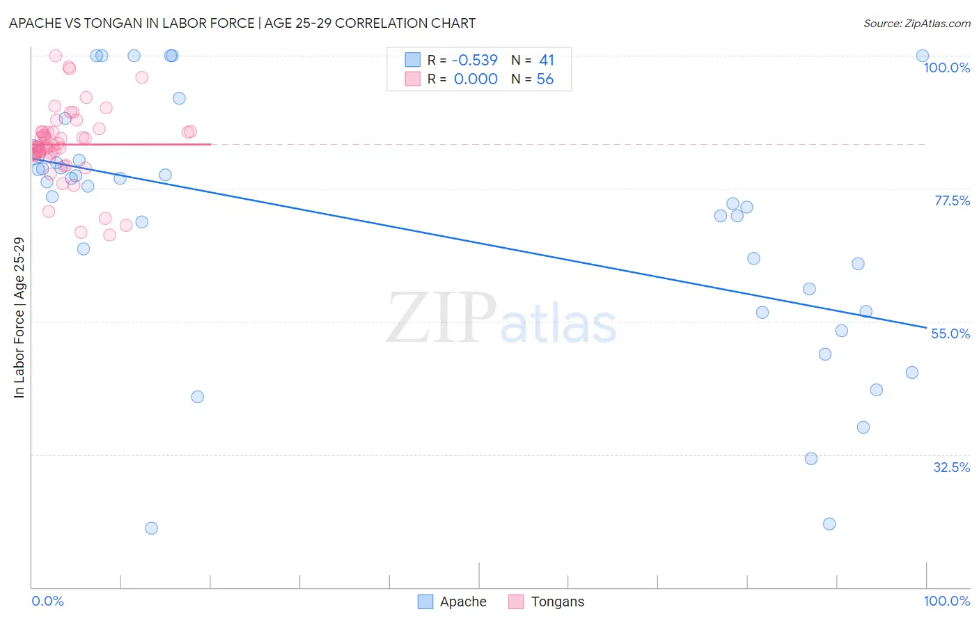 Apache vs Tongan In Labor Force | Age 25-29
