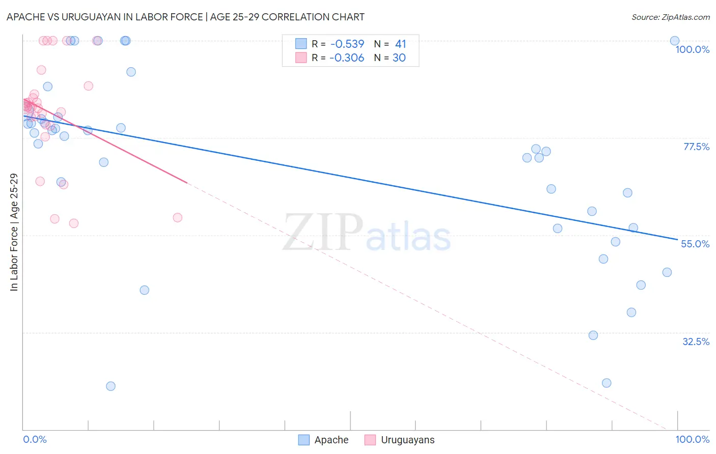 Apache vs Uruguayan In Labor Force | Age 25-29