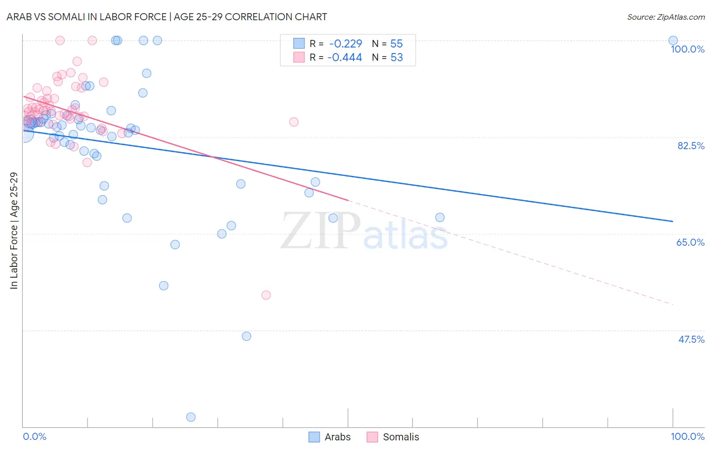 Arab vs Somali In Labor Force | Age 25-29