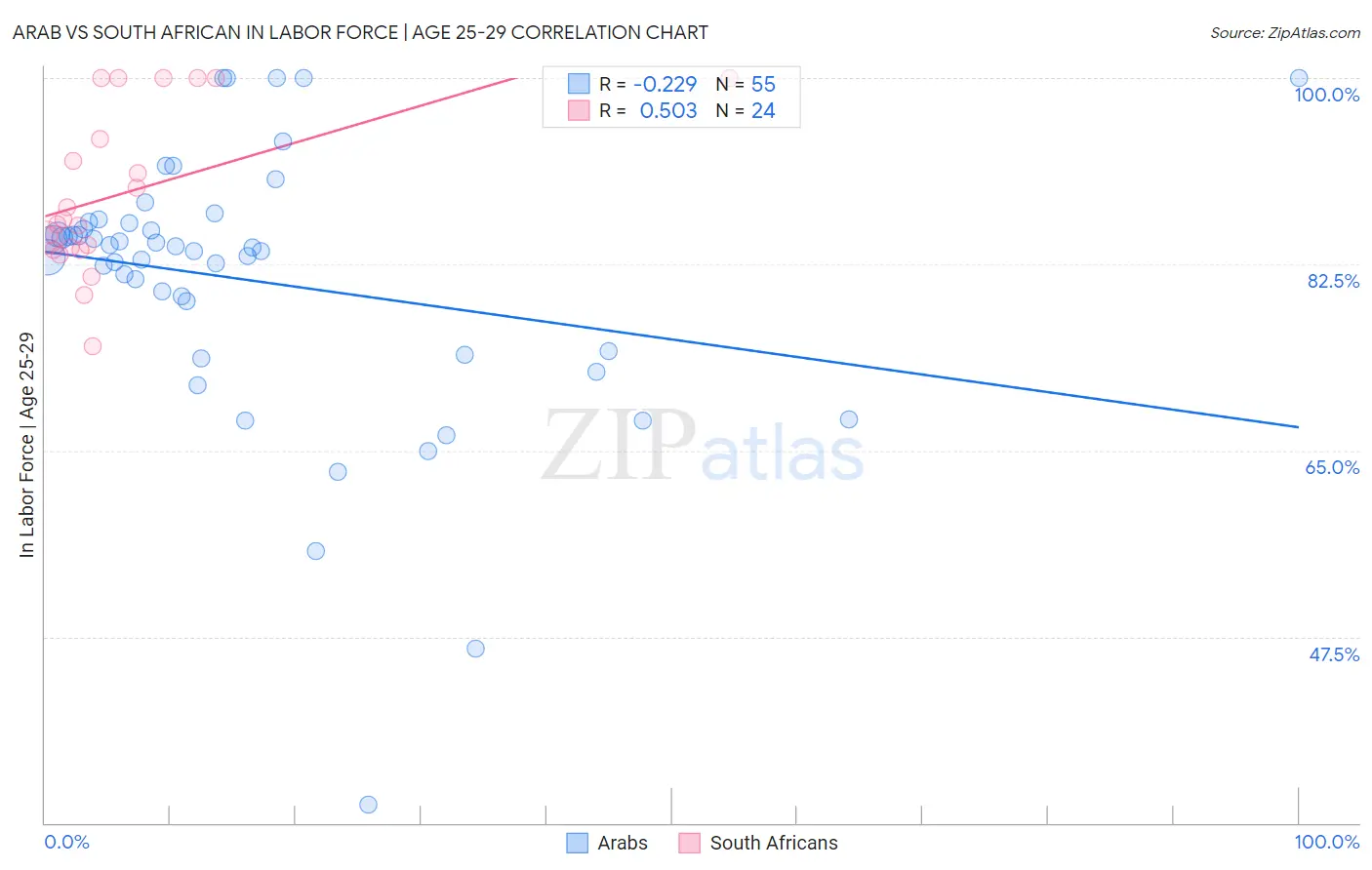 Arab vs South African In Labor Force | Age 25-29