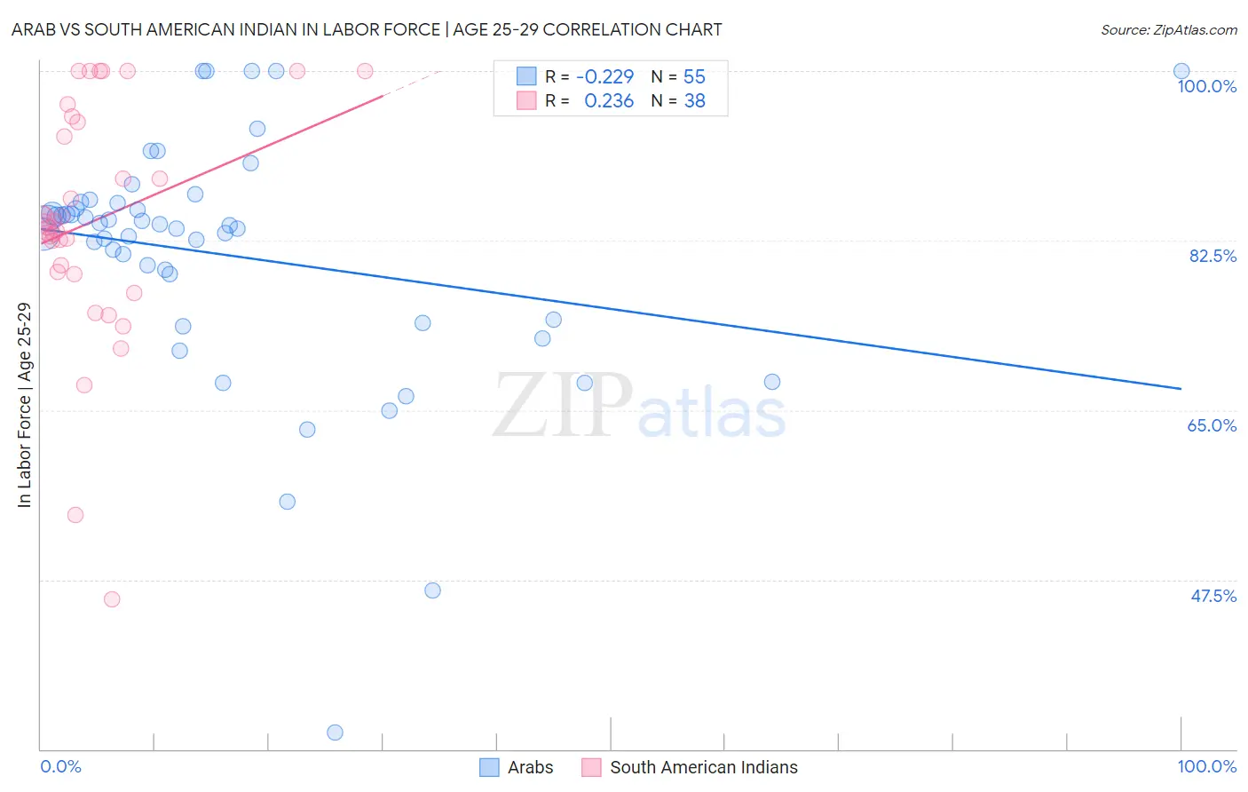 Arab vs South American Indian In Labor Force | Age 25-29