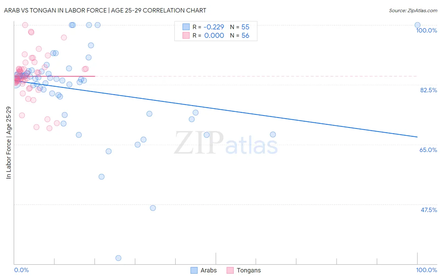 Arab vs Tongan In Labor Force | Age 25-29