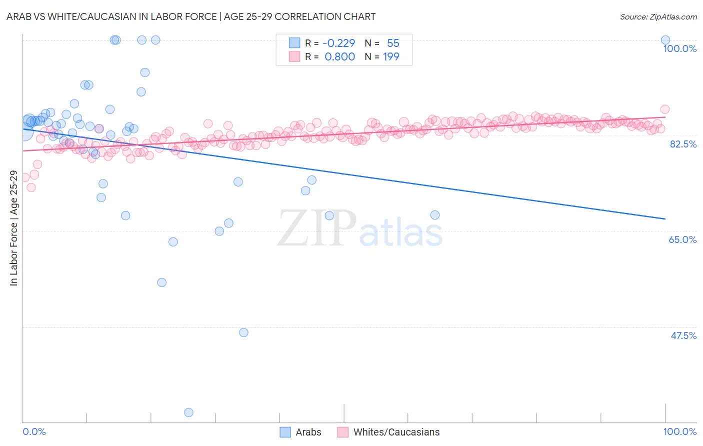 Arab vs White/Caucasian In Labor Force | Age 25-29