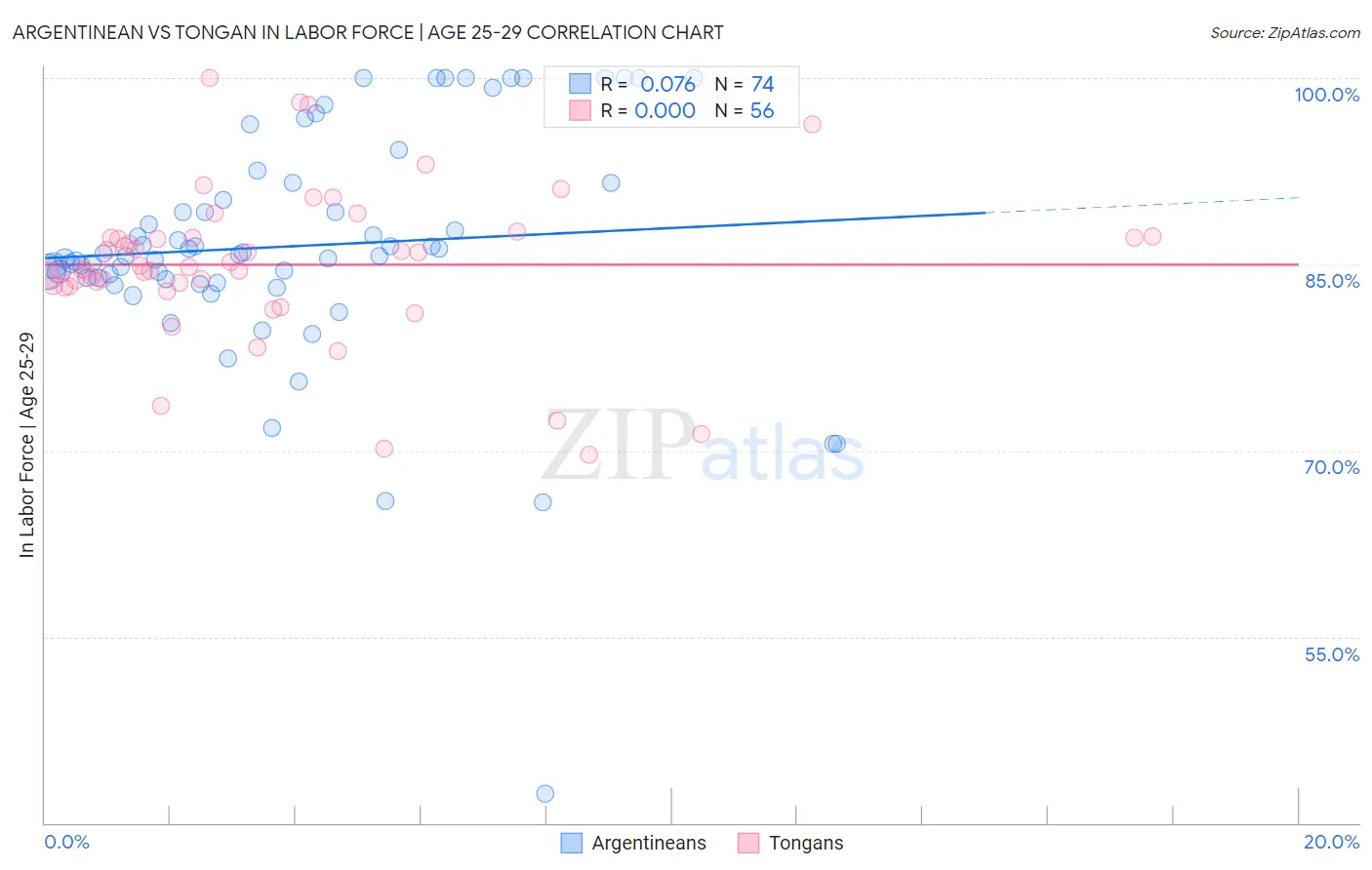 Argentinean vs Tongan In Labor Force | Age 25-29