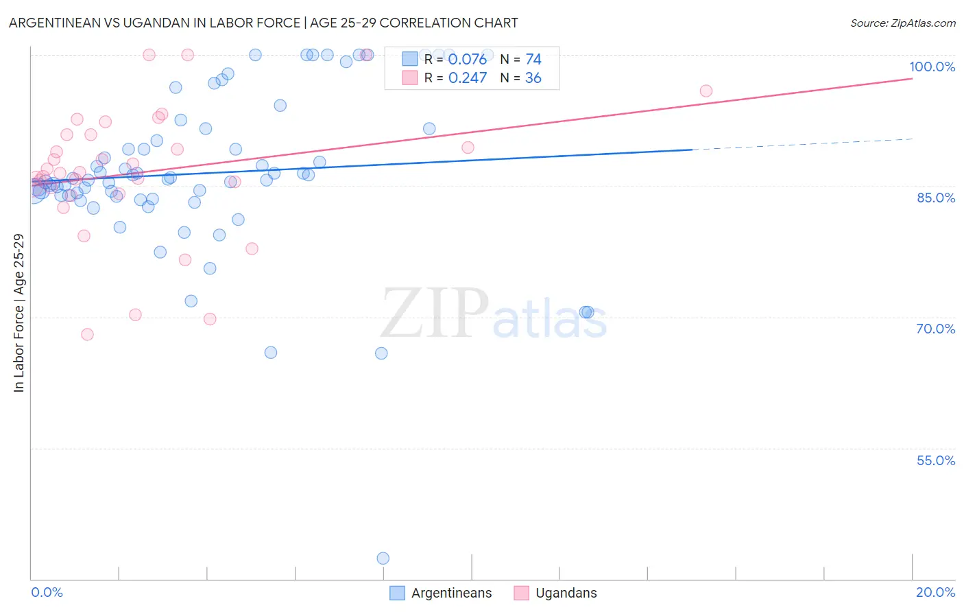 Argentinean vs Ugandan In Labor Force | Age 25-29