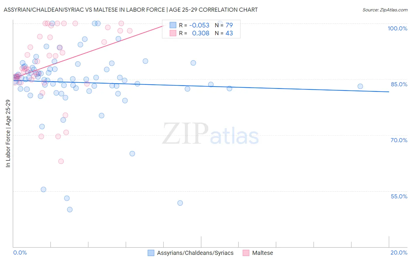 Assyrian/Chaldean/Syriac vs Maltese In Labor Force | Age 25-29