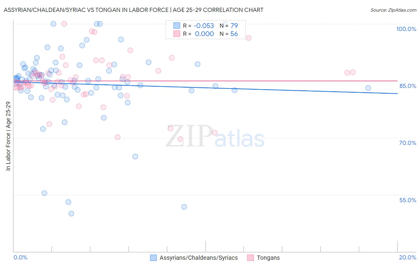 Assyrian/Chaldean/Syriac vs Tongan In Labor Force | Age 25-29