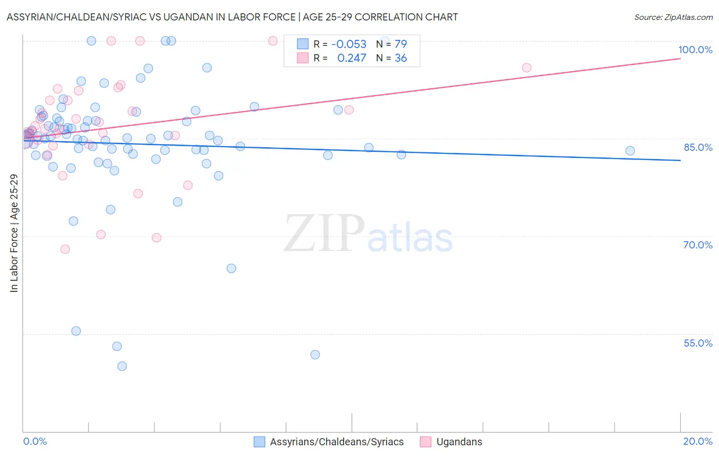 Assyrian/Chaldean/Syriac vs Ugandan In Labor Force | Age 25-29