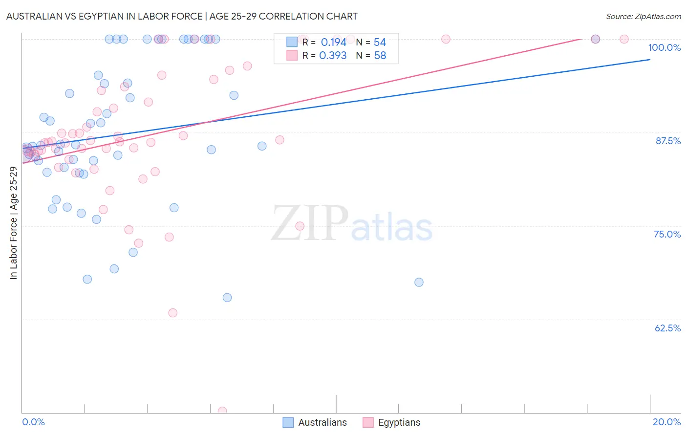 Australian vs Egyptian In Labor Force | Age 25-29