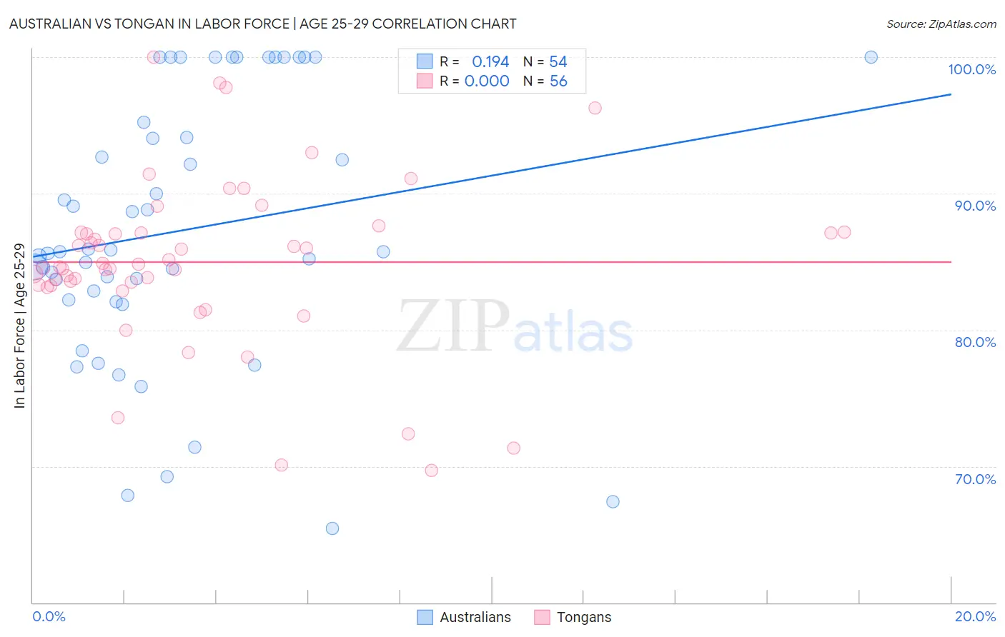 Australian vs Tongan In Labor Force | Age 25-29