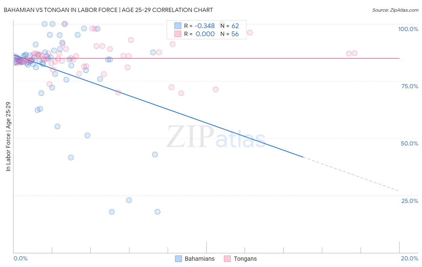 Bahamian vs Tongan In Labor Force | Age 25-29