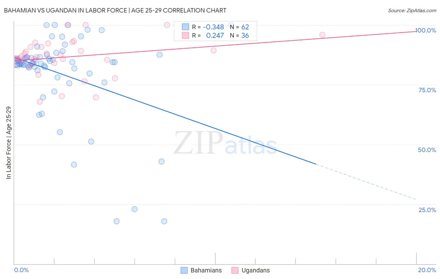 Bahamian vs Ugandan In Labor Force | Age 25-29