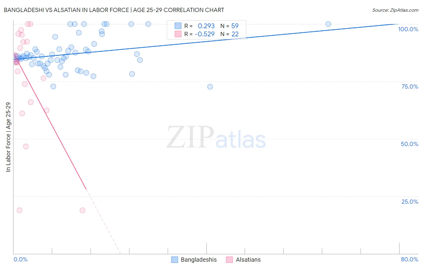 Bangladeshi vs Alsatian In Labor Force | Age 25-29