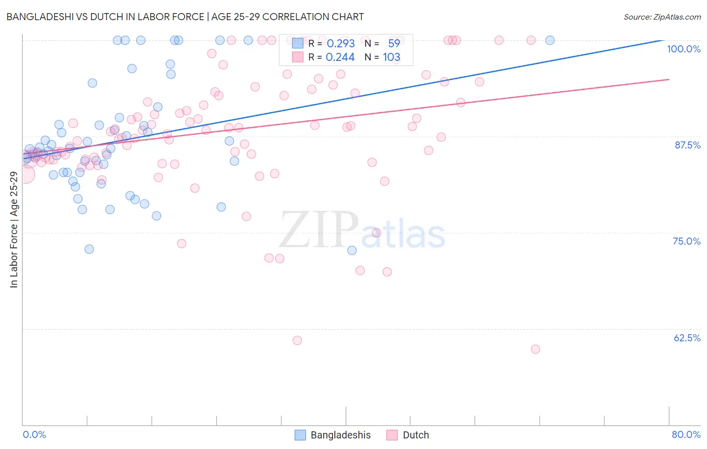 Bangladeshi vs Dutch In Labor Force | Age 25-29