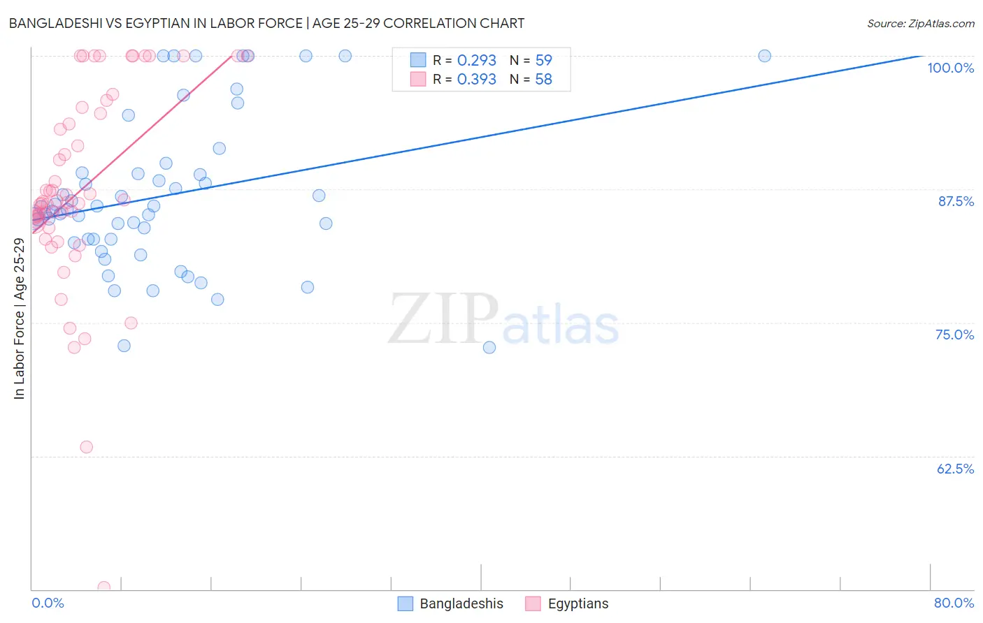 Bangladeshi vs Egyptian In Labor Force | Age 25-29