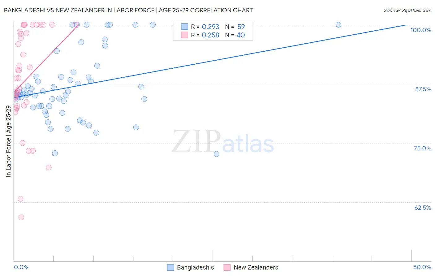 Bangladeshi vs New Zealander In Labor Force | Age 25-29