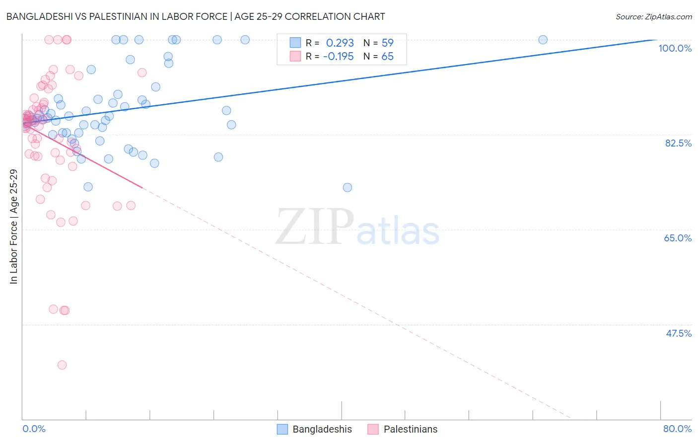 Bangladeshi vs Palestinian In Labor Force | Age 25-29