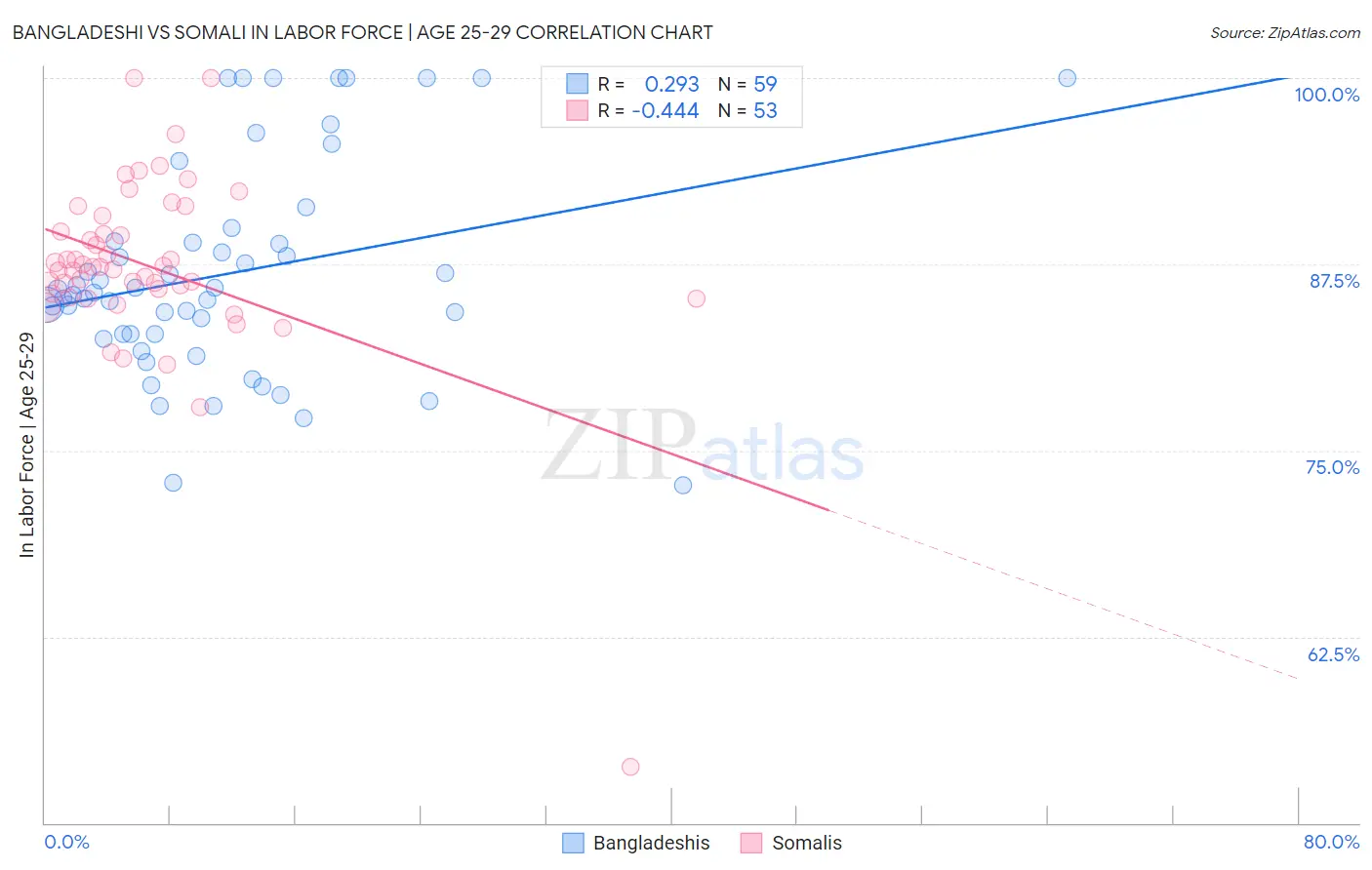Bangladeshi vs Somali In Labor Force | Age 25-29