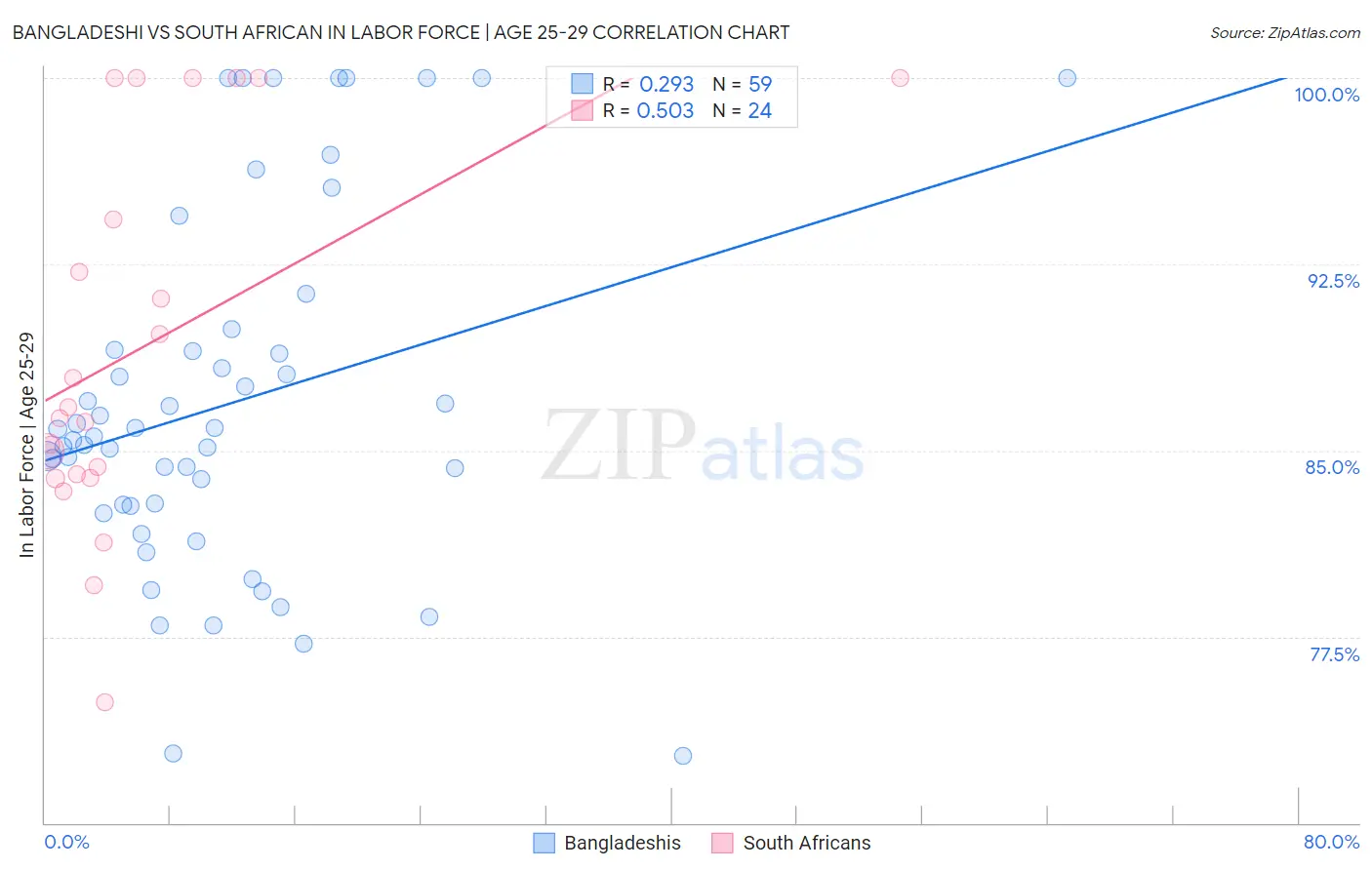 Bangladeshi vs South African In Labor Force | Age 25-29