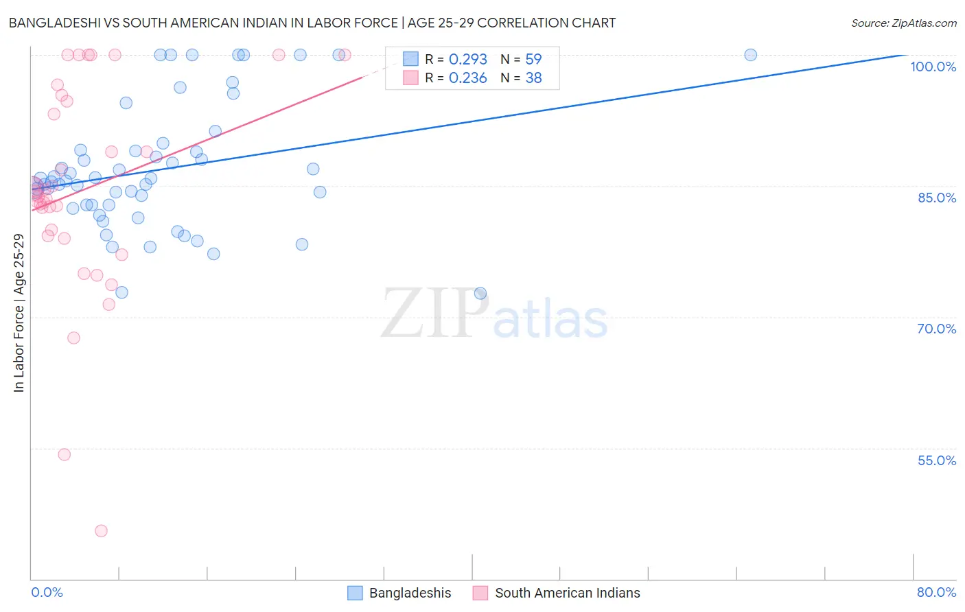 Bangladeshi vs South American Indian In Labor Force | Age 25-29