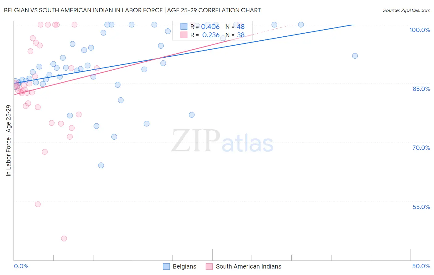 Belgian vs South American Indian In Labor Force | Age 25-29