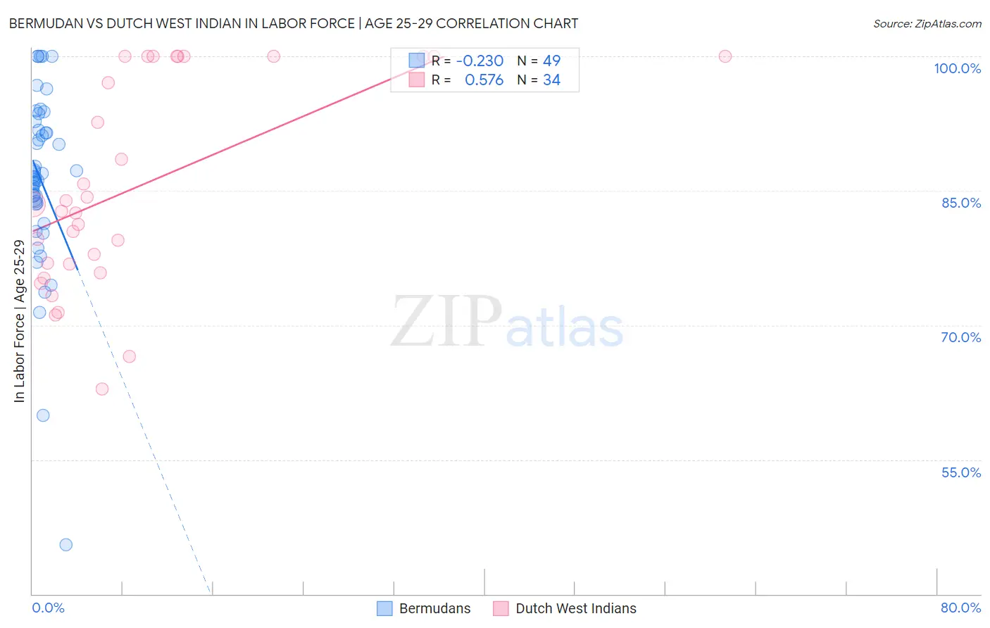 Bermudan vs Dutch West Indian In Labor Force | Age 25-29