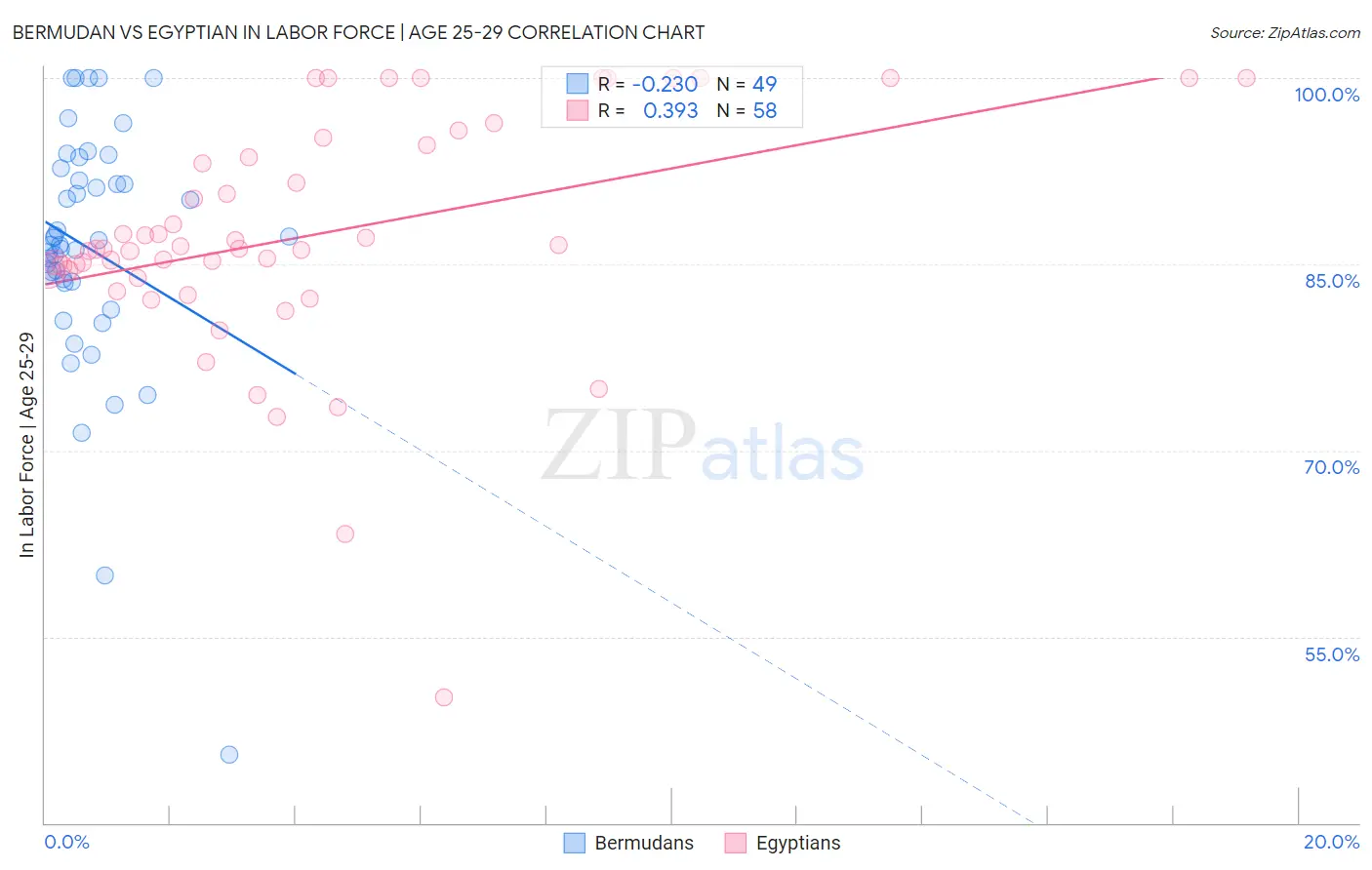 Bermudan vs Egyptian In Labor Force | Age 25-29