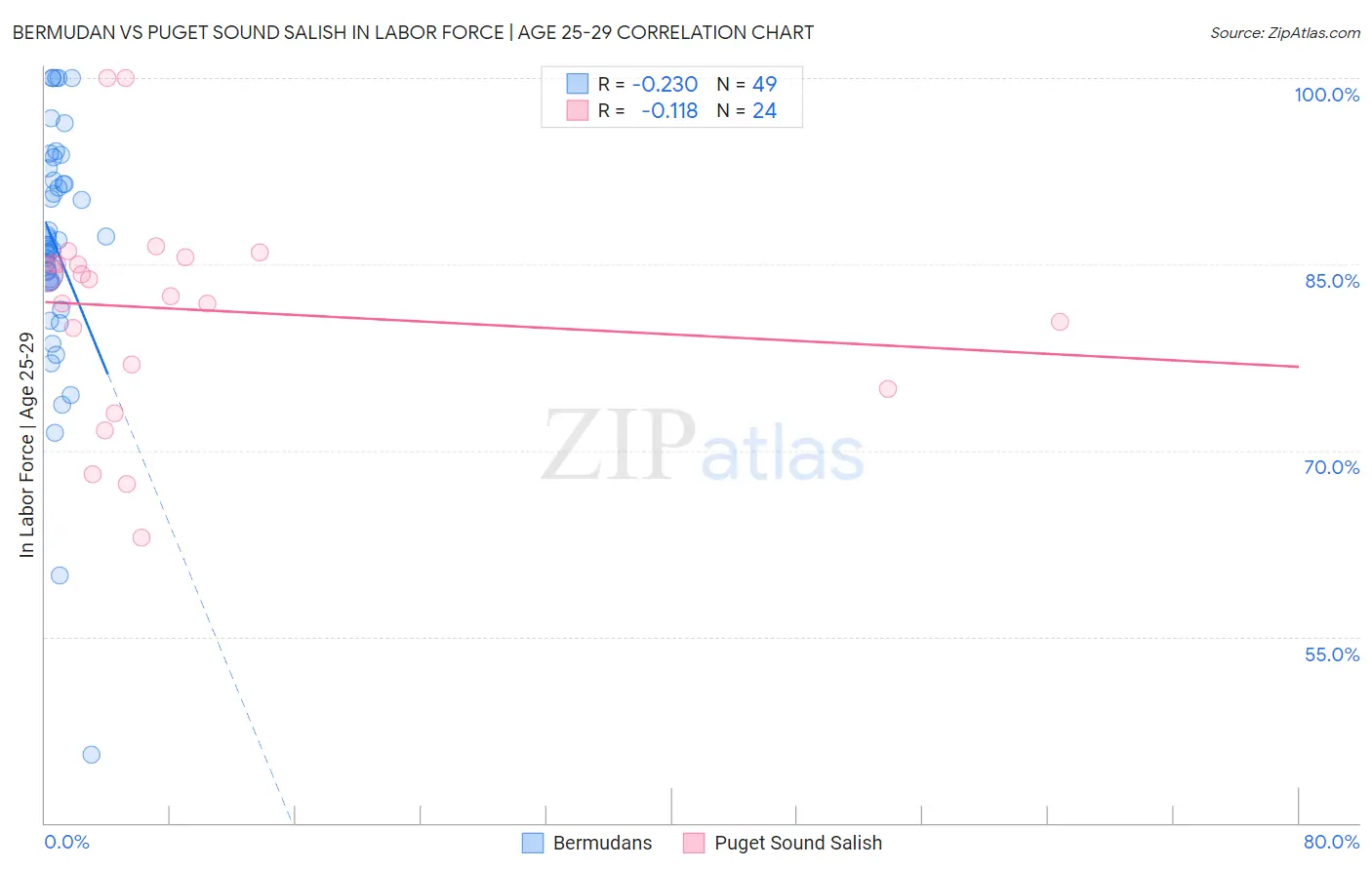 Bermudan vs Puget Sound Salish In Labor Force | Age 25-29