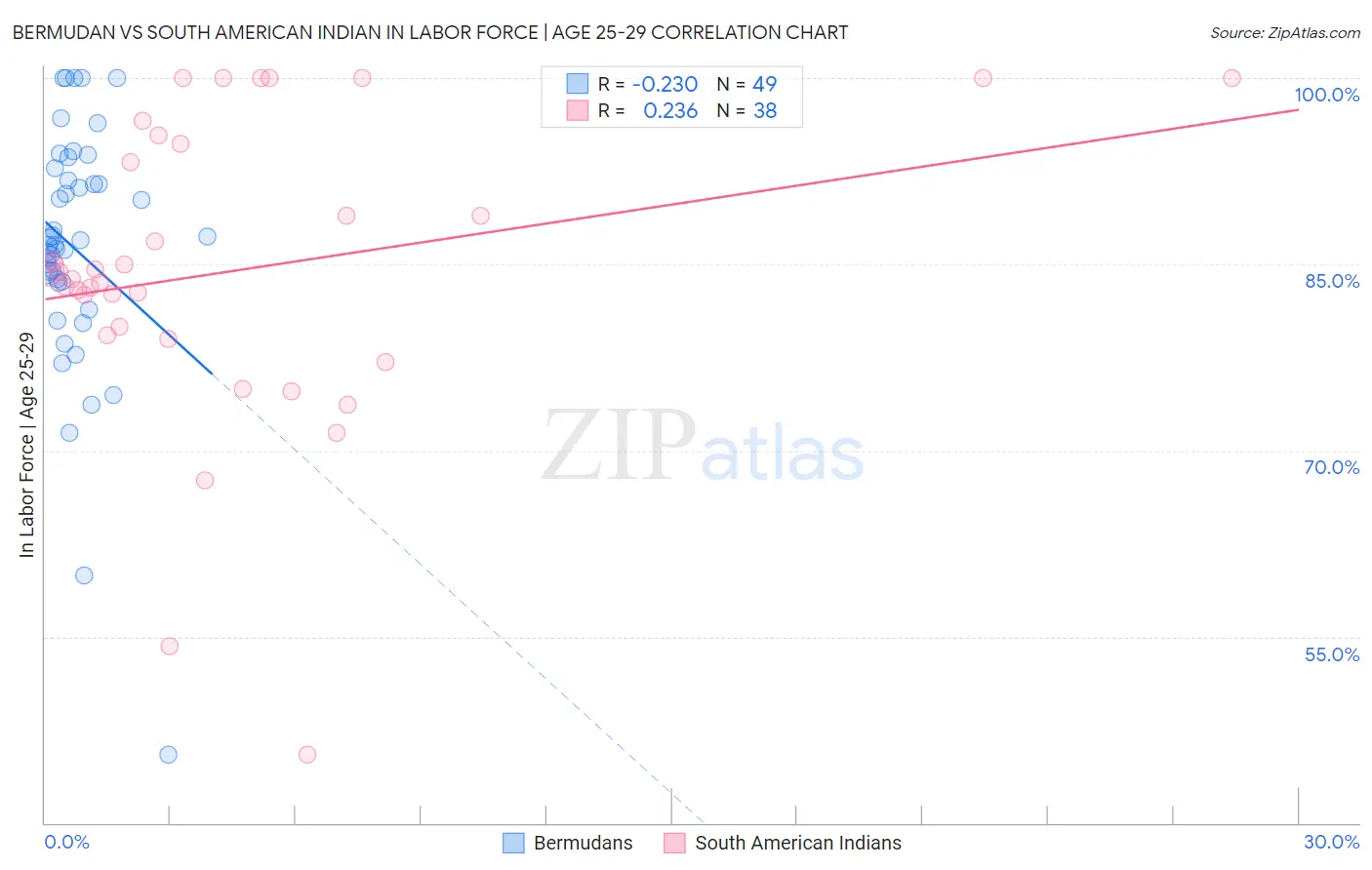Bermudan vs South American Indian In Labor Force | Age 25-29