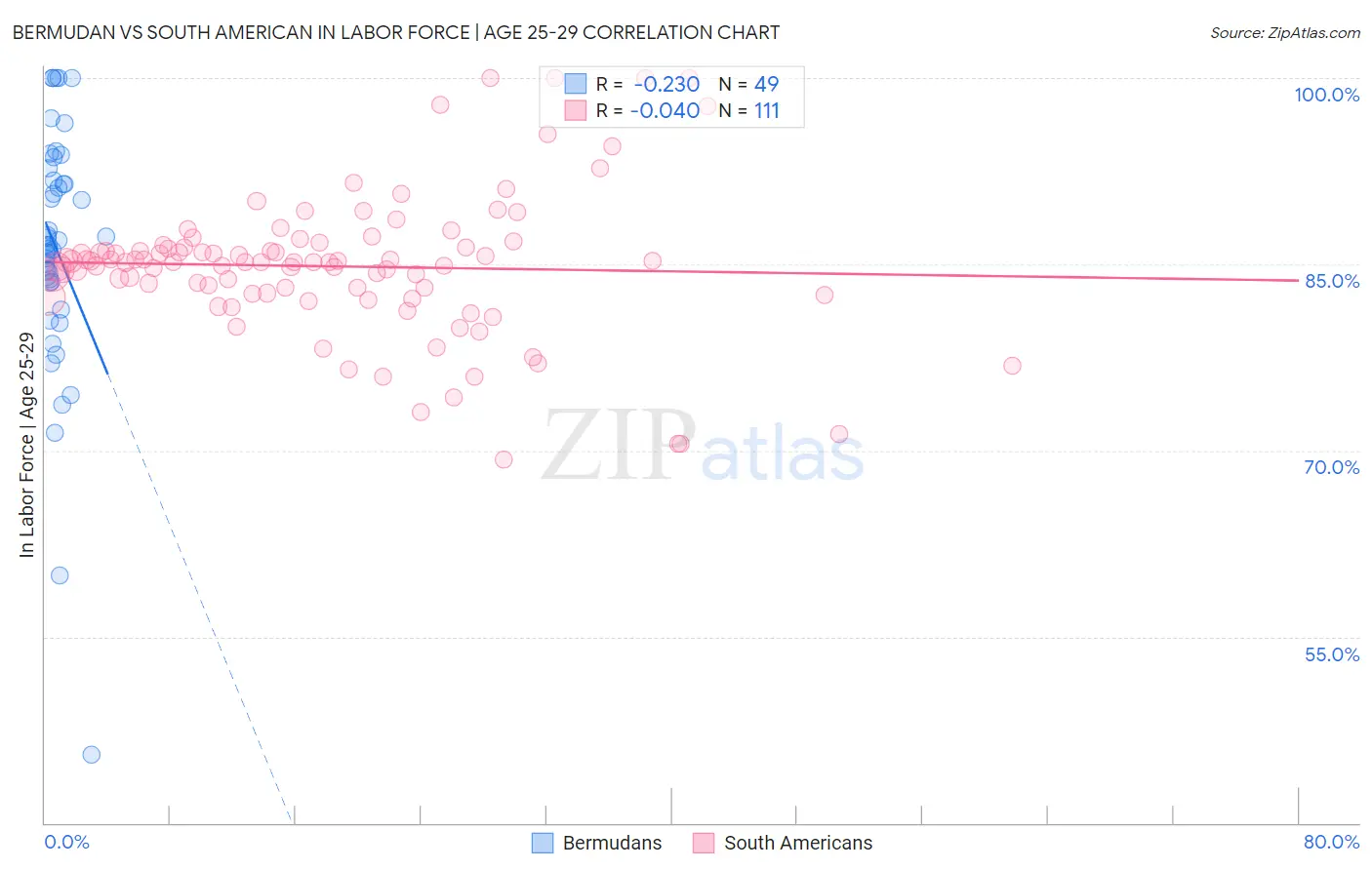 Bermudan vs South American In Labor Force | Age 25-29