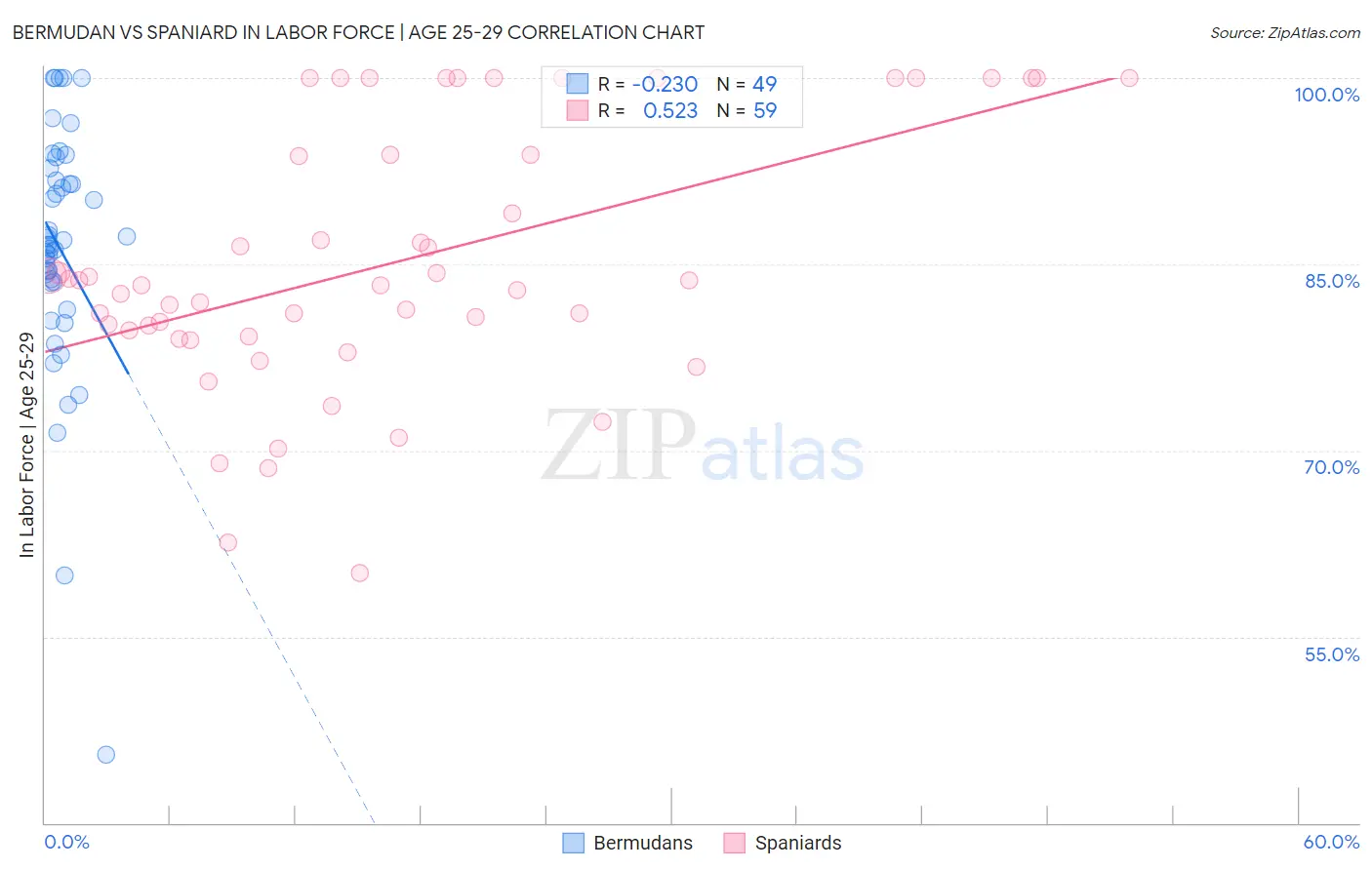 Bermudan vs Spaniard In Labor Force | Age 25-29