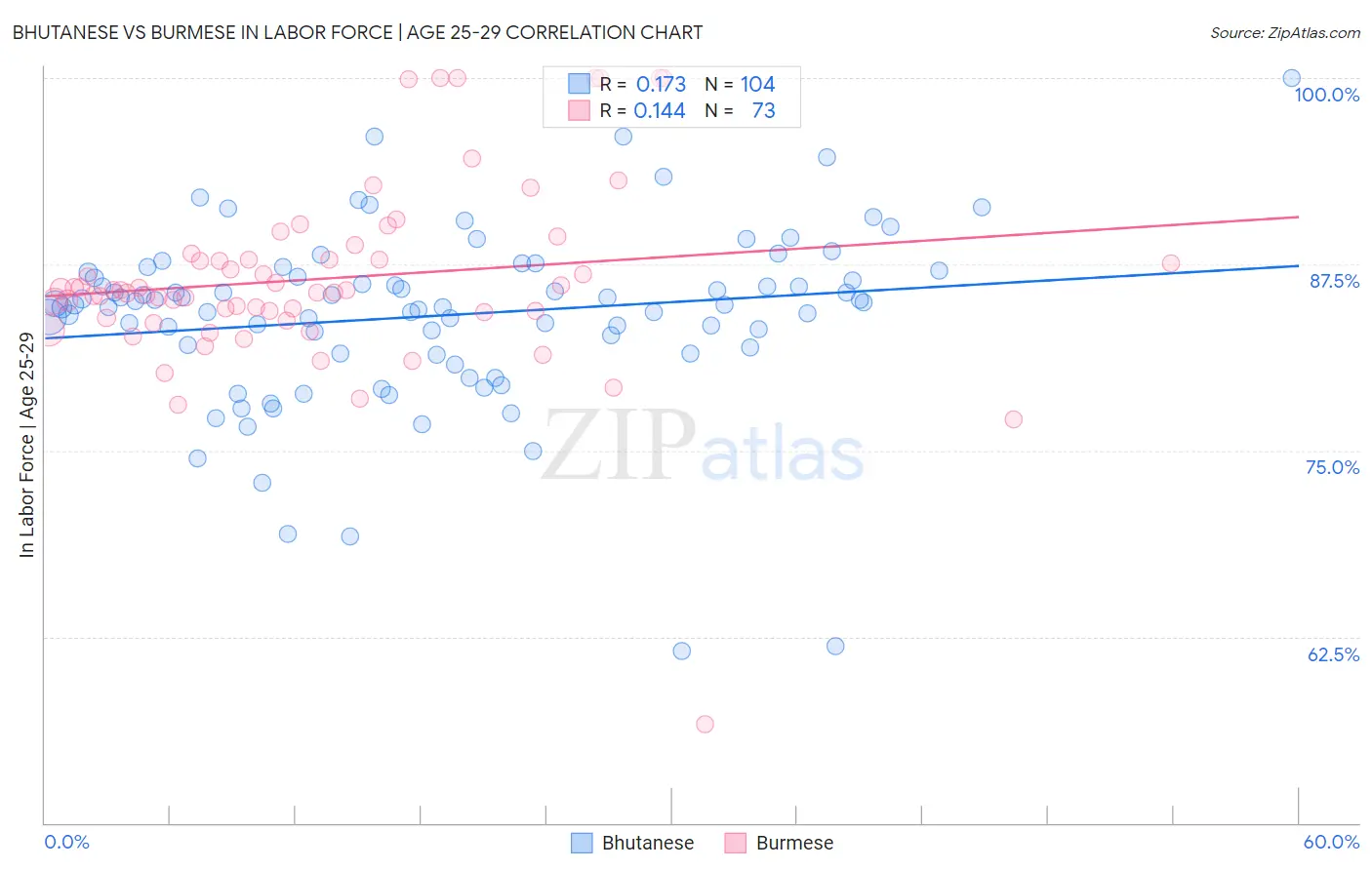 Bhutanese vs Burmese In Labor Force | Age 25-29